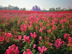 -二沙岛艺术公园