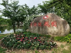 -鹅湖玫瑰文化园