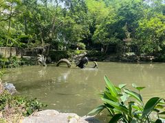 -汇龙潭
