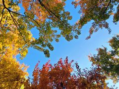 -龙湖星悦荟(颐和店)