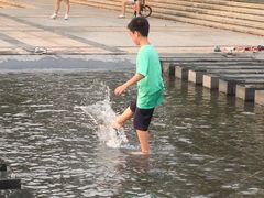 -东莞植物园