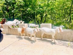 -白草畔自然风景区