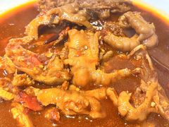 -红辣椒八爪鱼特色韩国料理