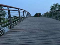 -马家湾湿地公园