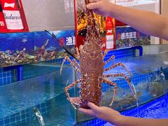 -驻海渔市(置信店)