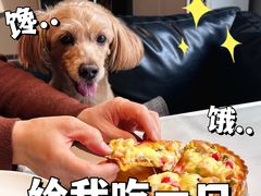 -百好乐宠物友好餐厅(朝外大街店)