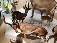 -陕西自然博物馆