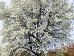 -江苏三台山国家森林公园