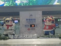 -哈尔滨太平国际机场-T2航站楼