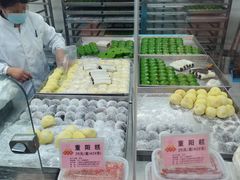 -沈大成(南京东路店)