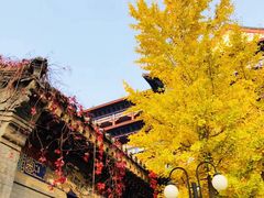 -大明幻境第一城