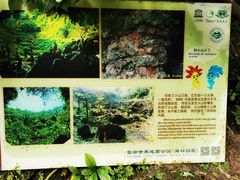 -海口火山口国家地质公园