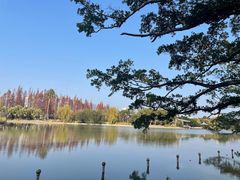 -江心屿景区