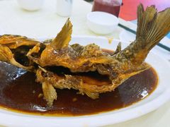 挣蹦鲤鱼-奥华餐厅·老张记(台基厂店)