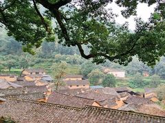 -杨家堂村