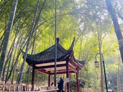 -杭州黄龙洞