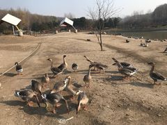 -哈尔滨北方森林动物园