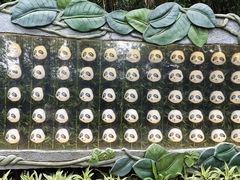 -广州长隆野生动物世界