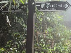 -海南热带雨林国家公园吊罗山景区
