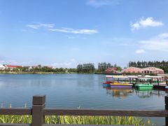 -上海长兴岛郊野公园