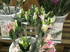 -鹿岛会员店 (龙湖三千集天街店)
