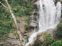 -海南热带雨林国家公园吊罗山景区