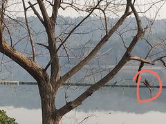 -东湖生态旅游风景区
