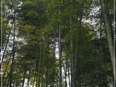 -古堰画乡景区