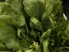 -润泽园海南椰子鸡·糟粕醋火锅(拱北店)