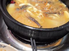 -九寨特色牦牛肉汤锅 羊肉汤锅