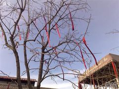 听说是可以在情人节许愿，然后挂在树上-素心小筑(后沙裕镇店)