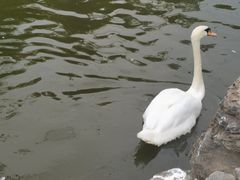 -森林公园(尖草坪区)