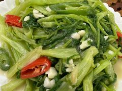 -正宗高流河饭店原创风姜鸡