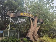 -运河游船(武林门码头)