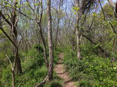 -南京市江宁方山