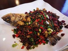 -庆合府重庆大排档(紫都城店)