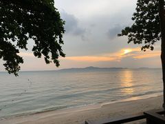 -卷心菜和避孕套餐厅(Pattaya)
