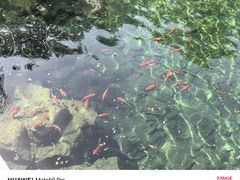 -趵突泉景区