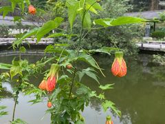 -广州神农草堂中医药博物馆