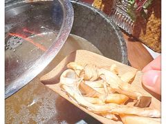 -芸山季·云南山珍菌火锅(人民广场来福士店)