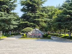 -渭滨公园