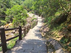 -广州白江湖森林公园