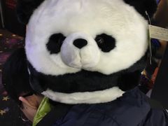 -成都大熊猫繁育研究基地