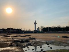 -渡海小渔村.老辈日照菜
