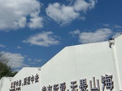 -莫子山公园