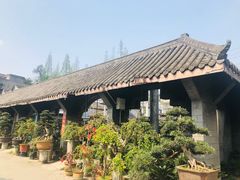-金科花卉市场