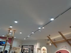 -喵园·猫主题咖啡厅·撸猫·猫咖(国贸店)