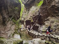 -牛背梁国家森林公园