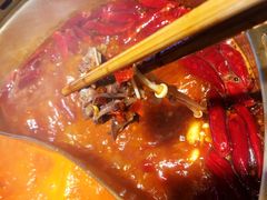 菊花郡肝-小龙坎老火锅(北京三里屯店)