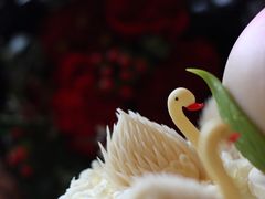 -BLACKSWAN黑天鹅(环球店)